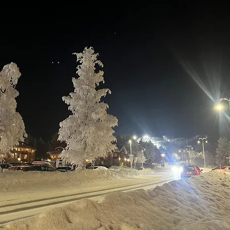 Cozy With Sauna In The Middle Of *