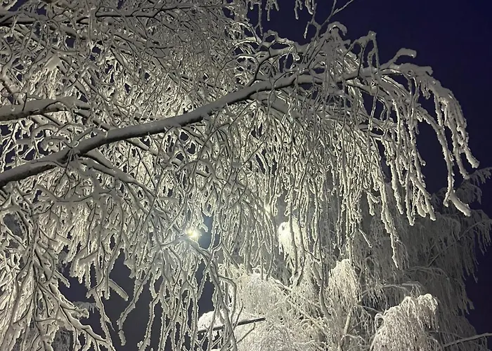 Apartamento Cozy With Sauna In The Middle Of