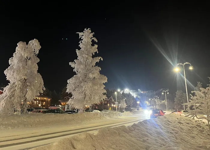 Cozy With Sauna In The Middle Of *